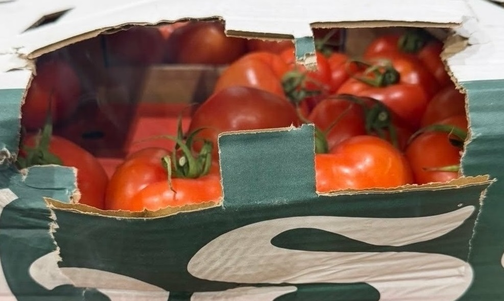 Илюстративна снимка  