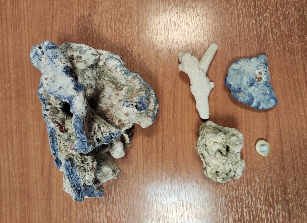 Снимки на задържаните корали